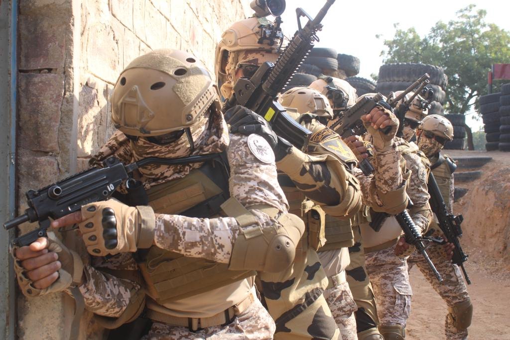 تحليل: دعم السعودية.. ما حدود التحرك العسكري المصري؟