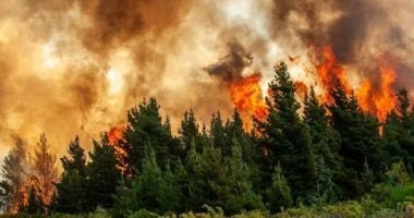طائرات ومروحيات عسكرية بريطانية تشارك في مكافحة حرائق الغابات
