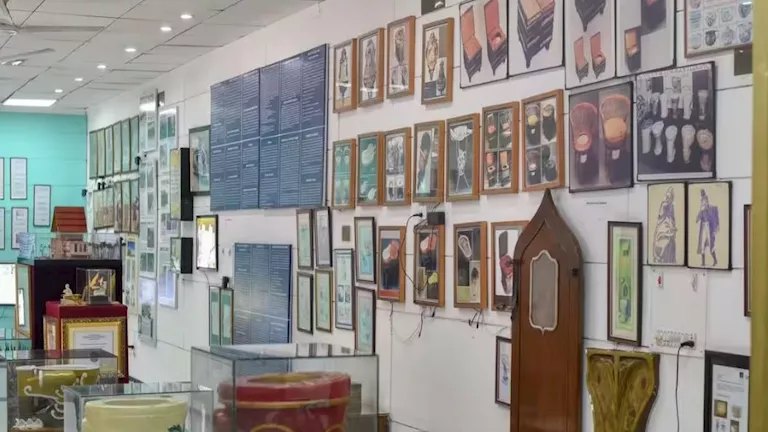 من المراحيض إلى العلاقات الفاشلة.. 6 متاحف غريبة حول العالم (صور)