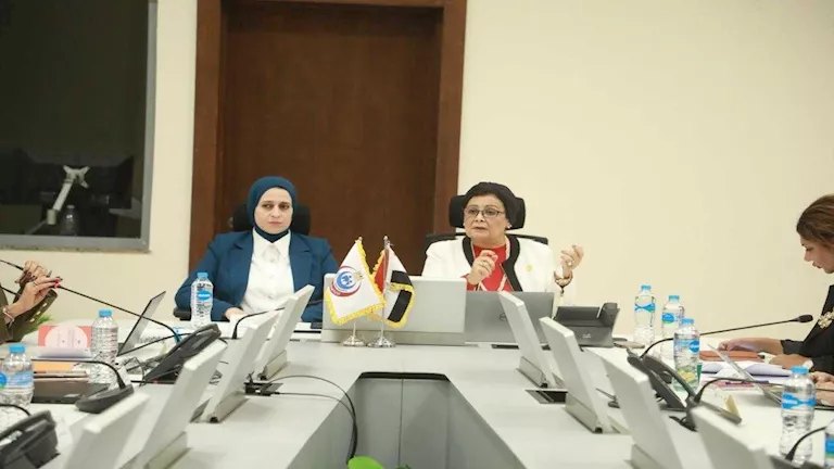 تفاصيل المرحلة الثانية من مشروع دعم الاتحاد الأوروبي للاستراتيجية الوطنية للسكان