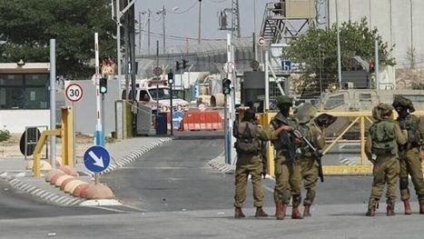الاحتلال يحتجز 11 متضامنا أجنبيا من الضفة.. خلال مساعدتهم مزارعين فلسطينيين