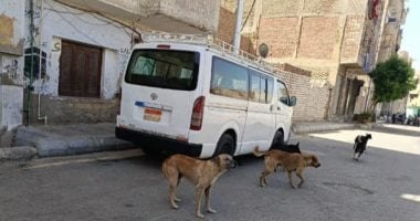 4 حالات بقانون الحيوانات الخطرة والكلاب تلزم مالكها بإخطار السلطات فورا