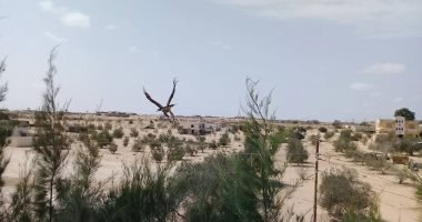 طقس حار على شمال سيناء وشبورة صباحية كثيفة.. وانخفاض منتظر بدرجات الحرارة