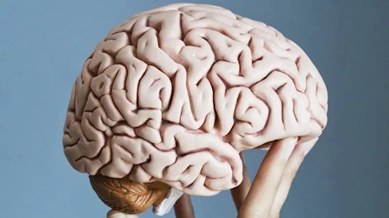 غلاف 3 أنشطة اجتماعية قد تساعد على تقوية الذاكرة وحماية الدماغ